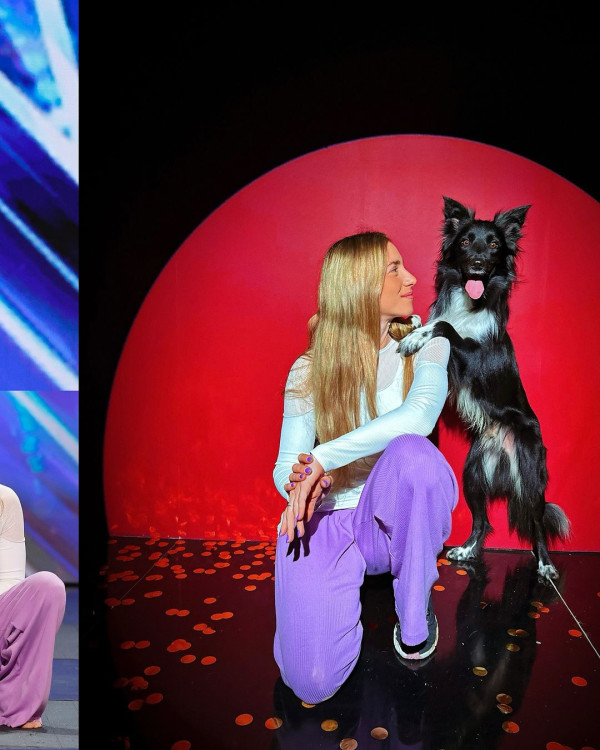 牧羊犬化身舞王登全美一叮 熱辣勁舞威過Mirror！ 