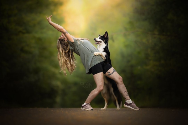 牧羊犬化身舞王登全美一叮 熱辣勁舞威過Mirror！ 