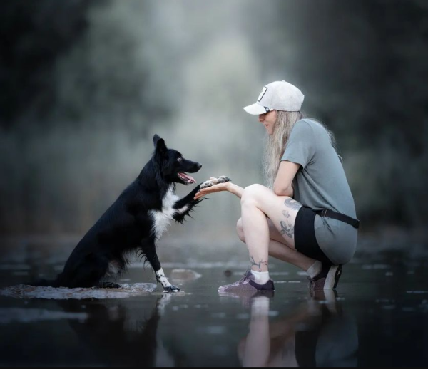 牧羊犬化身舞王登全美一叮 熱辣勁舞威過Mirror！ 