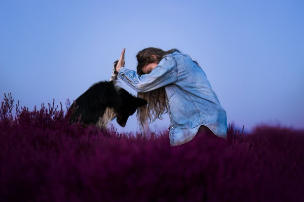 牧羊犬化身舞王登全美一叮 熱辣勁舞威過Mirror！ 