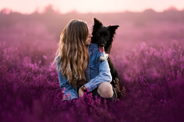 牧羊犬化身舞王登全美一叮 熱辣勁舞威過Mirror！ 