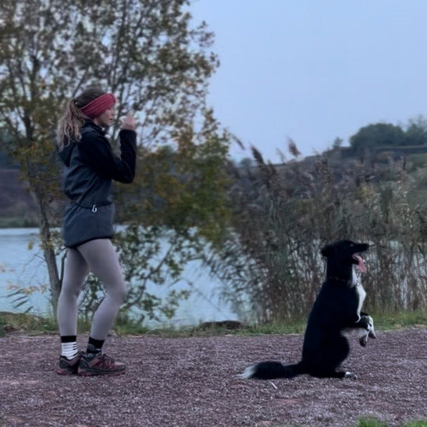 牧羊犬化身舞王登全美一叮 熱辣勁舞威過Mirror！ 