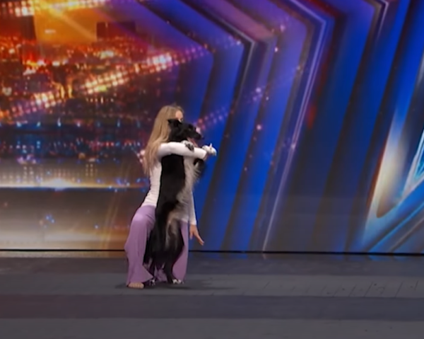 牧羊犬化身舞王登全美一叮 熱辣勁舞威過Mirror！ 