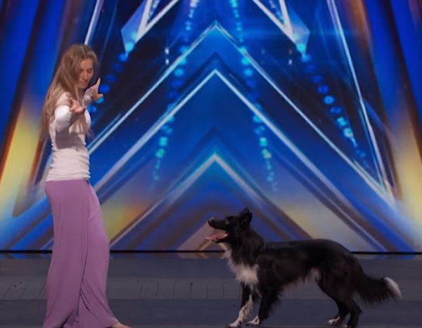 牧羊犬化身舞王登全美一叮 熱辣勁舞威過Mirror！ 