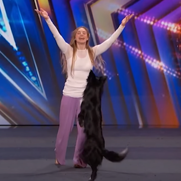 牧羊犬化身舞王登全美一叮 熱辣勁舞威過Mirror！ 