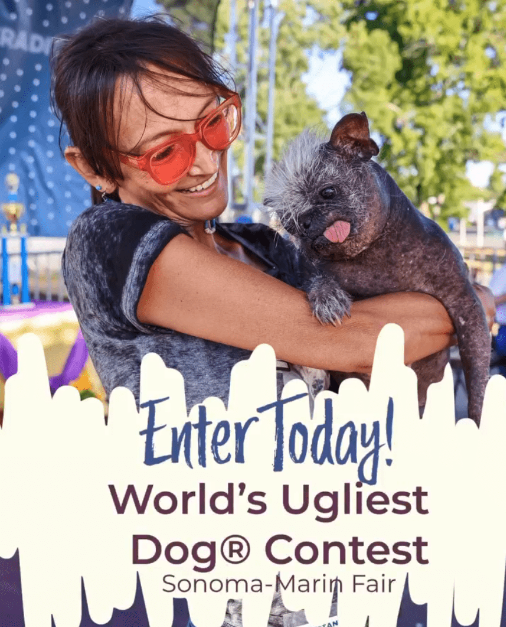 世界最醜狗狗比賽北京犬奪冠！患病毀容倖存故事藏洋蔥 