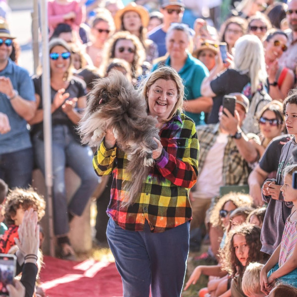 世界最醜狗狗比賽北京犬奪冠！患病毀容倖存故事藏洋蔥 