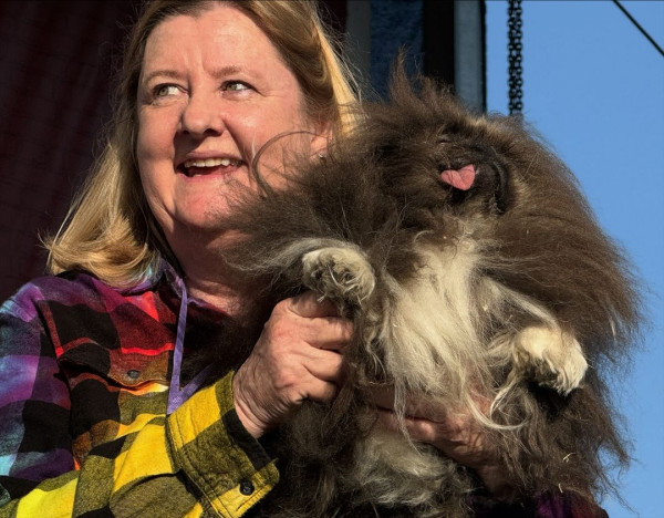 世界最醜狗狗比賽北京犬奪冠！患病毀容倖存故事藏洋蔥 