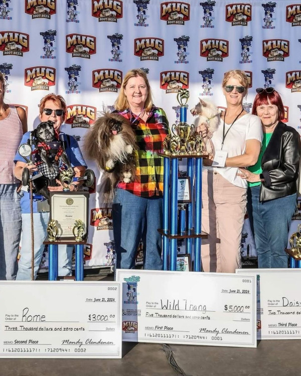 世界最醜狗狗比賽北京犬奪冠！患病毀容倖存故事藏洋蔥 