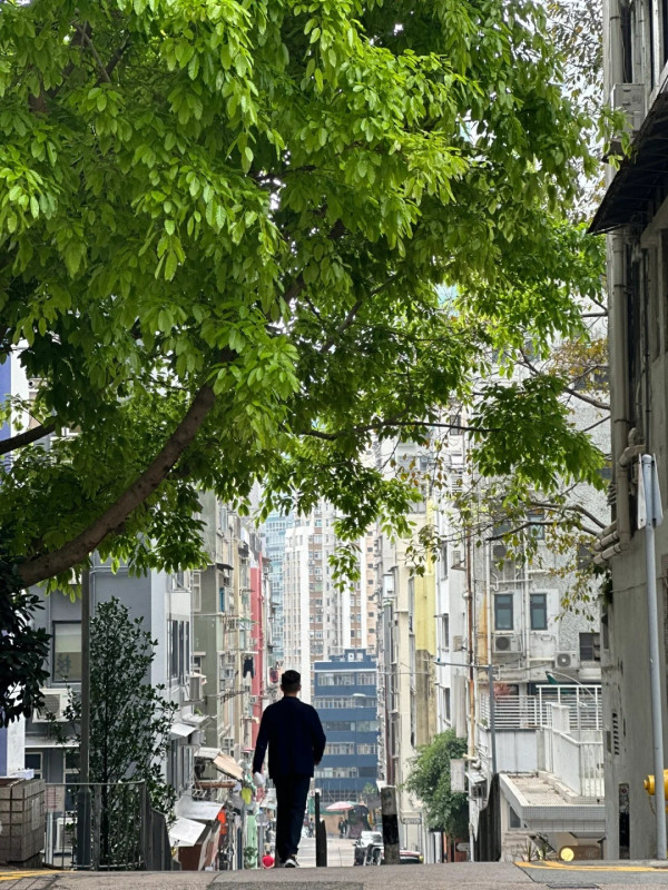 示意圖（圖片來源︰小紅書@momo）