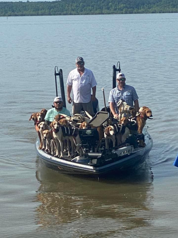 美國釣魚翁湖中垂釣零漁獲 卻意外「釣起」38隻落水狗 