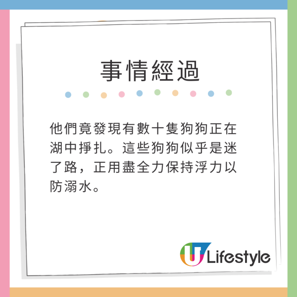 美國釣魚翁湖中垂釣零漁獲 卻意外「釣起」38隻落水狗 
