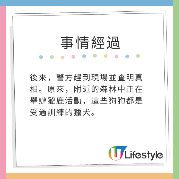 美國釣魚翁湖中垂釣零漁獲 卻意外「釣起」38隻落水狗 