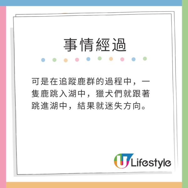 美國釣魚翁湖中垂釣零漁獲 卻意外「釣起」38隻落水狗 