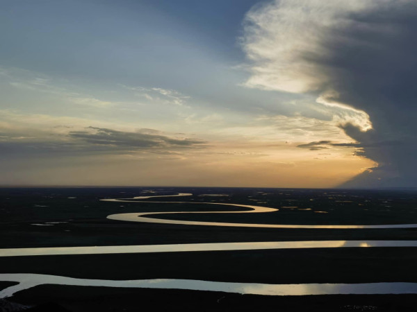 苟芸慧遊新疆紫色花海打卡 靚相獲讚仙氣十足「零孕味」 