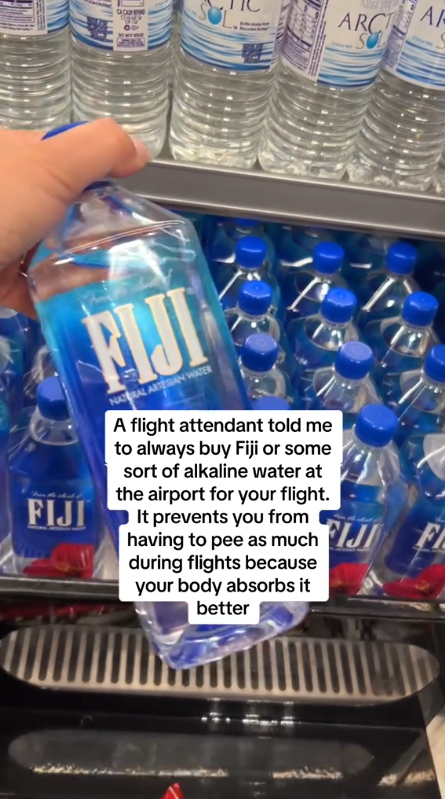 飛機廁所暗藏神秘開關!更乾淨衛生 連空姐都唔知?