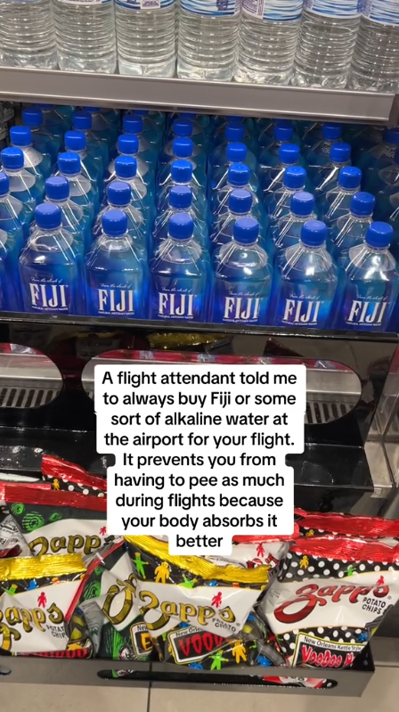 飛機廁所暗藏神秘開關!更乾淨衛生 連空姐都唔知?