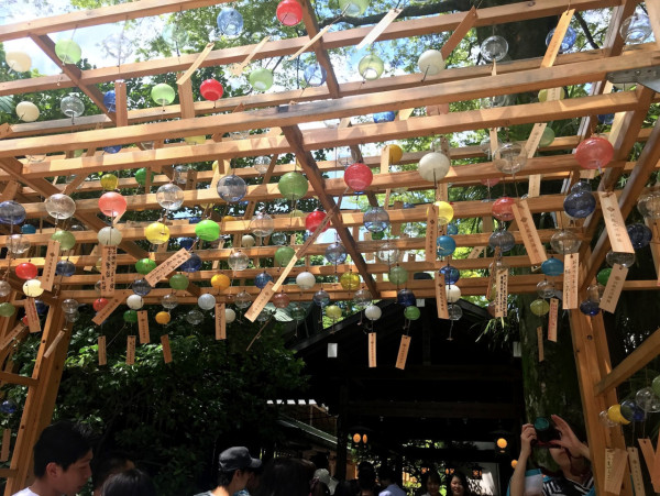 東京夏日限定打卡秘點 | 夏日風鈴祭/沉浸式金魚藝術館/浴衣打卡