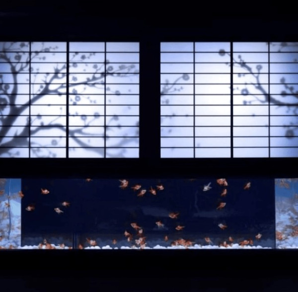 東京夏日限定打卡秘點 | 夏日風鈴祭/沉浸式金魚藝術館/浴衣打卡