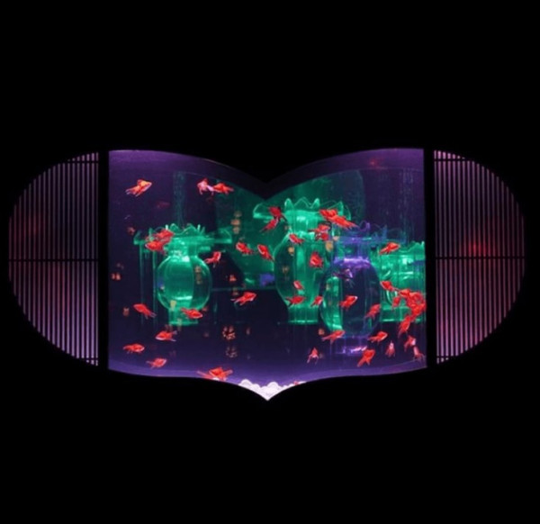 東京夏日限定打卡秘點 | 夏日風鈴祭/沉浸式金魚藝術館/浴衣打卡