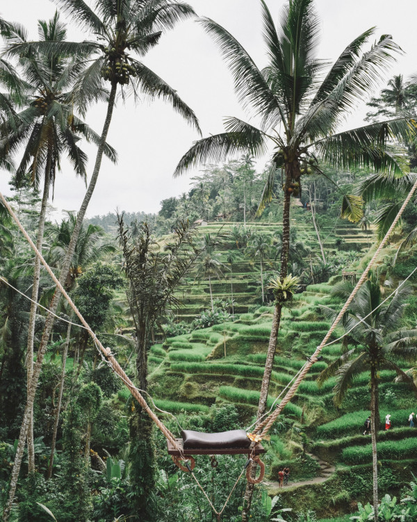 峇里島自由行景點｜高空大鞦韆 Bali Swing（圖片來源：Unsplash）