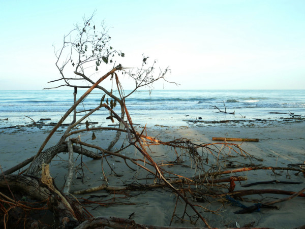 峇里島自由行景點｜金巴蘭海灘 Jimbaran Beach（圖片來源：Unsplash）