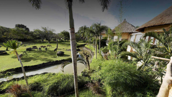 峇里島自由行景點｜峇里島野生動物園（圖片來源：Taman Safari Bali | Official Website）