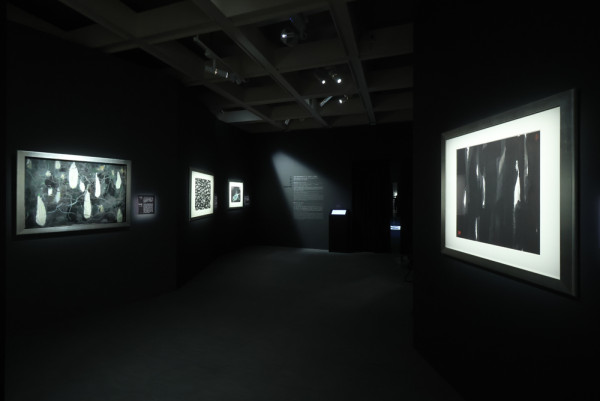 走入黑白灰 「吳冠中藝術贊助」專項基金焦點展覽現正於香港藝術館展出