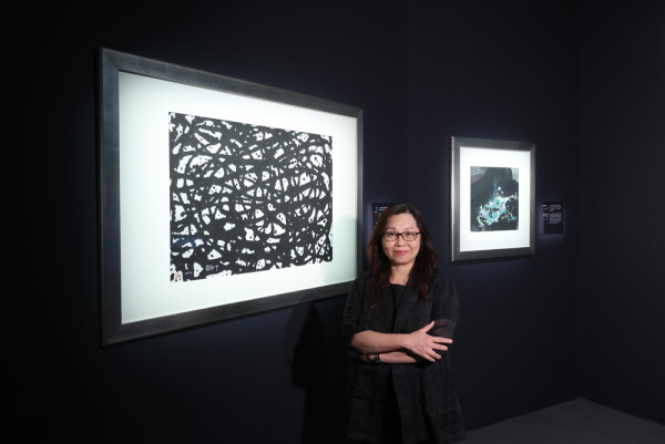 走入黑白灰 「吳冠中藝術贊助」專項基金焦點展覽現正於香港藝術館展出
