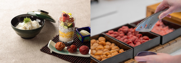 【走入「遠離城市之旅」】探索和歌山新面貌 隱世景點/風味料理/自然療法 