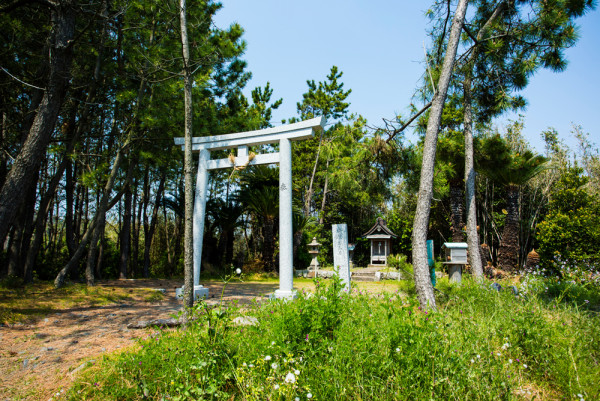 【走入「遠離城市之旅」】探索和歌山新面貌 隱世景點/風味料理/自然療法 