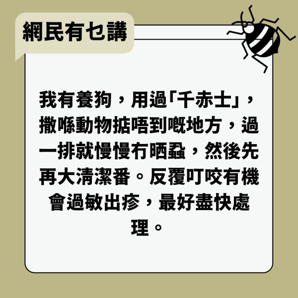 床蝨入屋｜床蝨入侵全屋半年 港男一家遭叮咬如火燒 $4000成功滅蝨公開血淚史