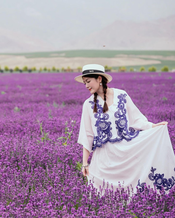 苟芸慧遊新疆紫色花海打卡 靚相獲讚仙氣十足「零孕味」 