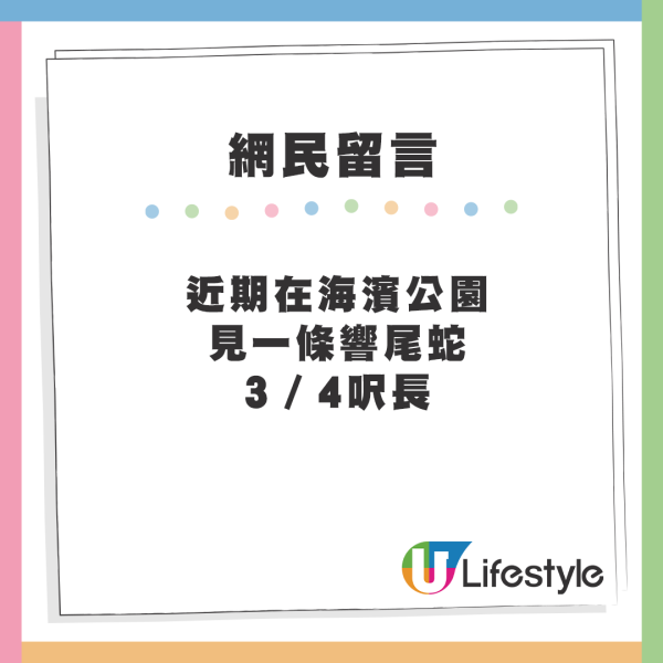 大埔公園行人路驚現超級毒蛇 毒液可致命！路人險中招：好危險