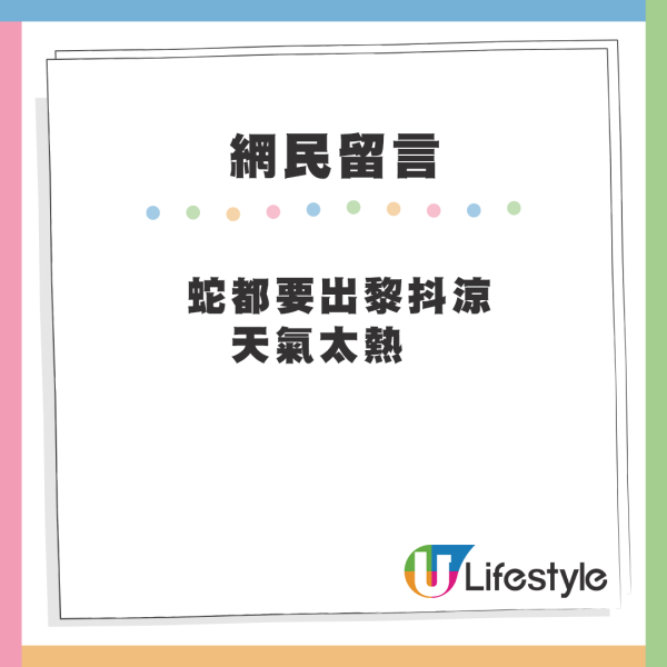 大埔公園行人路驚現超級毒蛇 毒液可致命！路人險中招：好危險