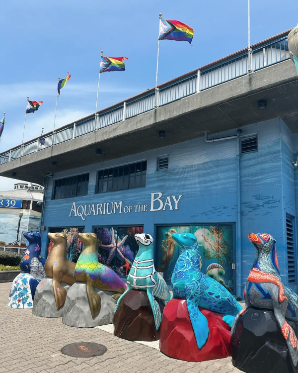 孫慧雪美國旅行再解鎖湊仔新技能 每日孭住細仔四圍走 網友戥佢辛苦