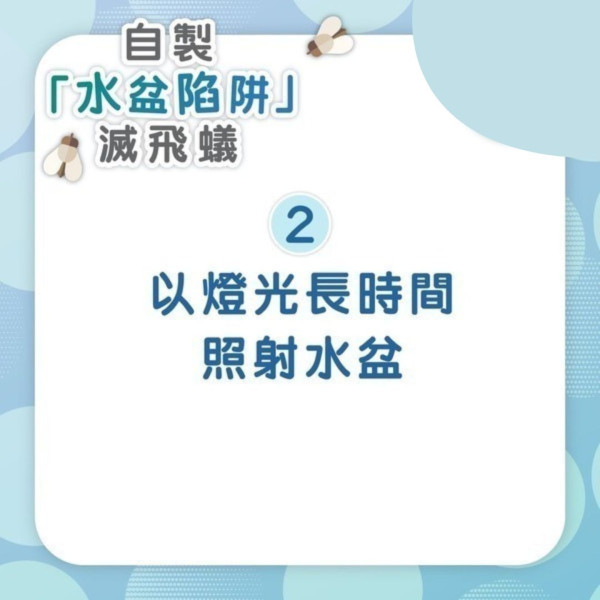 飛蟻可變白蟻防飛蟻入屋9招！白蟻入侵3跡象脫翼/蟻道/傢俬地板現凹痕