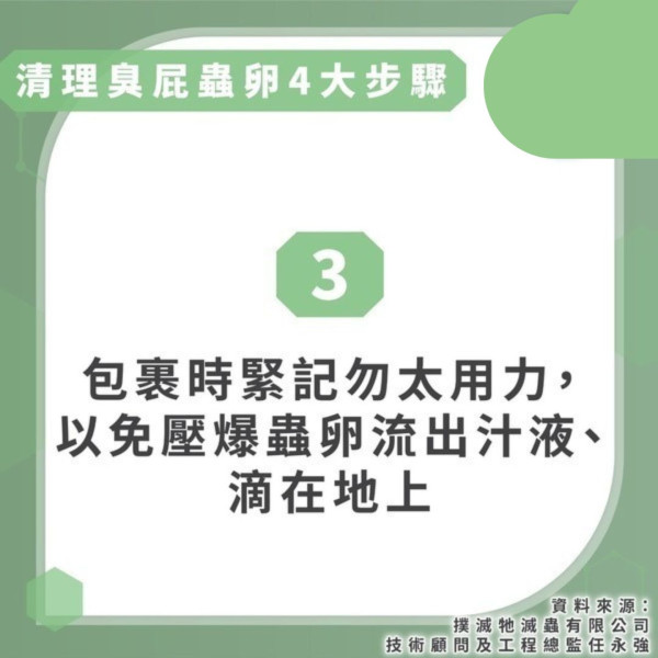 臭屁蟲處理攻略︱防入屋3招輕鬆消滅！亂拍打恐毒液濺眼臭屁蟲卵處理正確方法