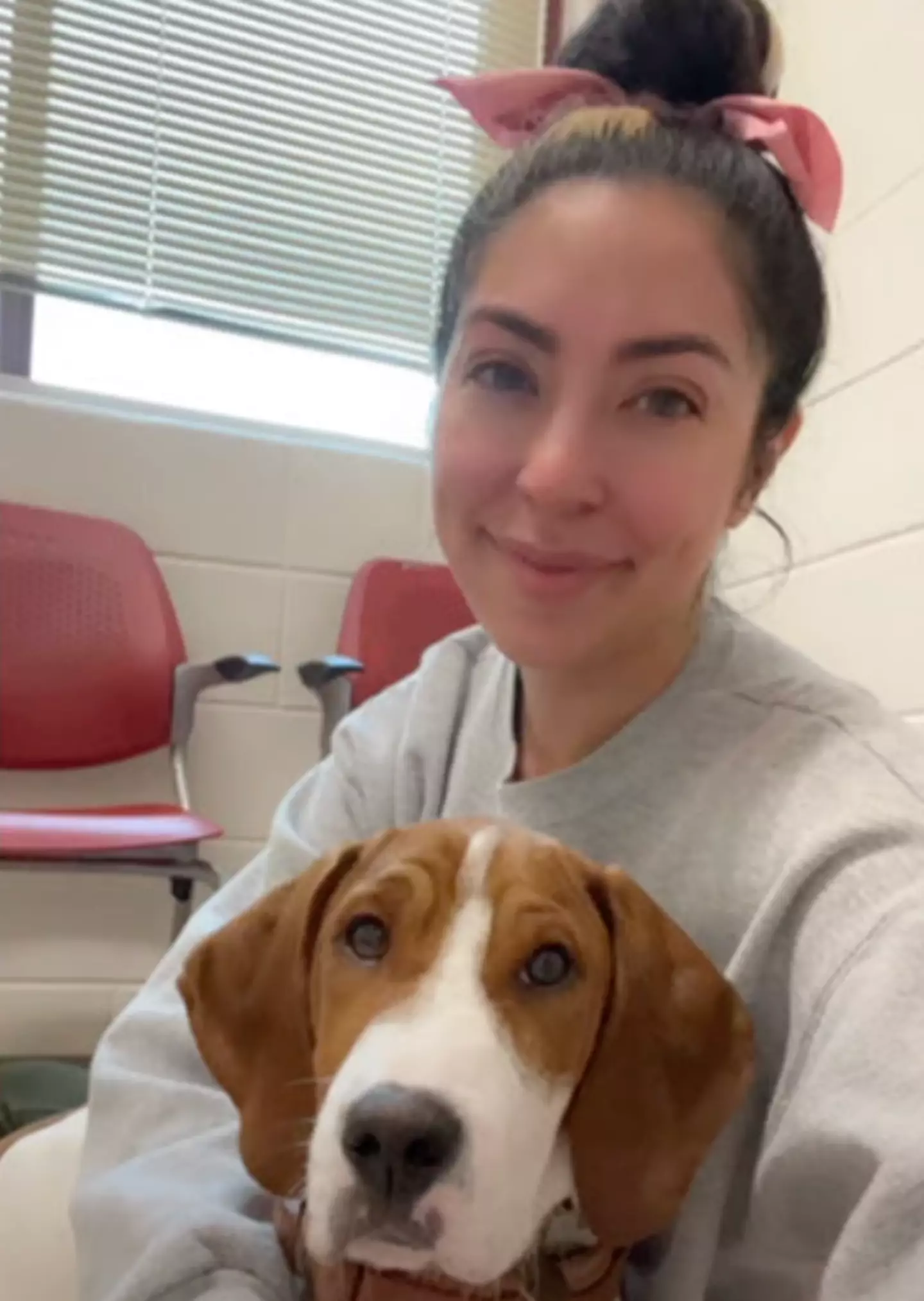 愛犬患病忍痛安樂死 1年後驚見奇蹟「復活」?動物收容所親揭內幕真相