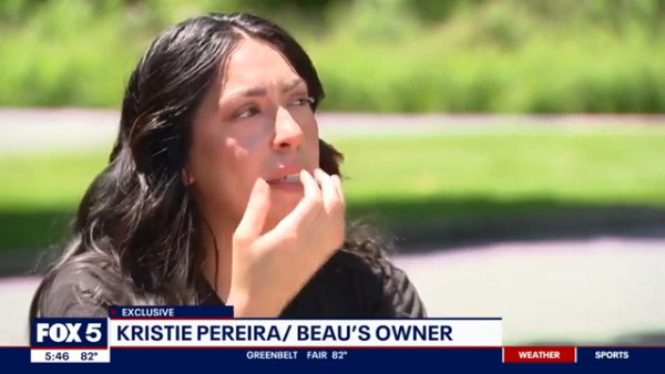 愛犬患病忍痛安樂死 1年後驚見奇蹟「復活」?動物收容所親揭內幕真相