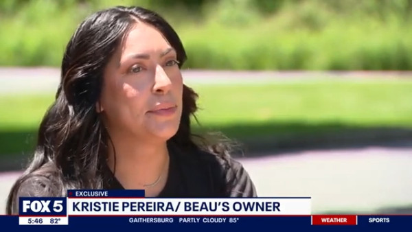 愛犬患病忍痛安樂死 1年後驚見奇蹟「復活」?動物收容所親揭內幕真相