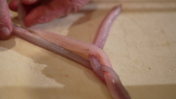 感動味蕾美食餐廳100強關西篇｜周奕瑋全新日本旅遊節目每集景點 推介必食黑毛和牛燒肉/隱世壽司店、串燒店 