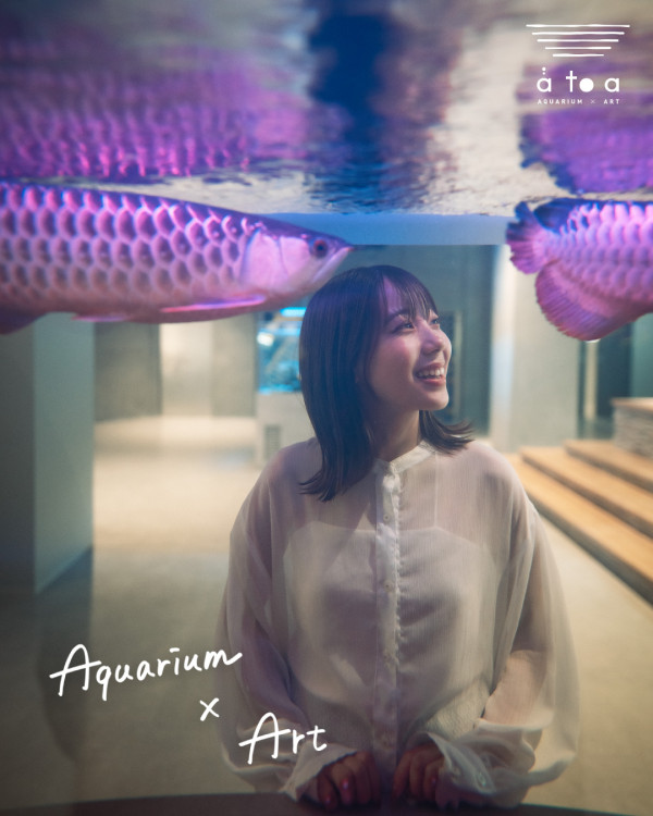 神戶一日遊自由行攻略 逾24大神戶景點/美食/酒店推介附交通攻略 