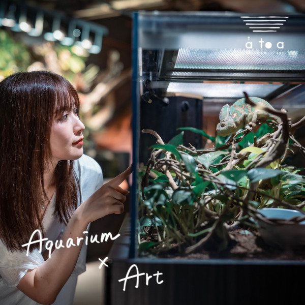 神戶一日遊自由行攻略 逾24大神戶景點/美食/酒店推介附交通攻略 