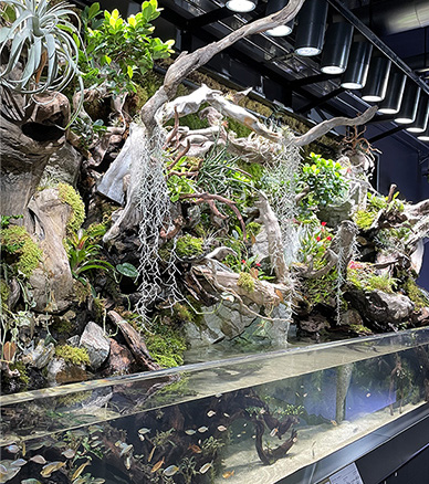 神戶一日遊自由行攻略 逾24大神戶景點/美食/酒店推介附交通攻略 