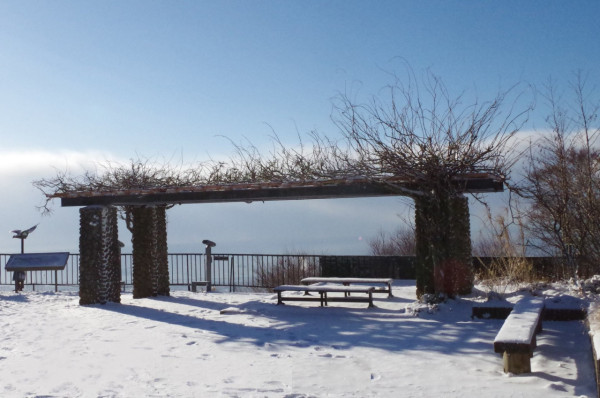 神戶一日遊自由行攻略 逾24大神戶景點/美食/酒店推介附交通攻略 