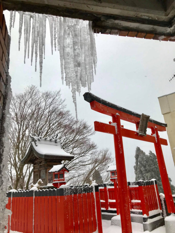 神戶一日遊自由行攻略 逾24大神戶景點/美食/酒店推介附交通攻略 