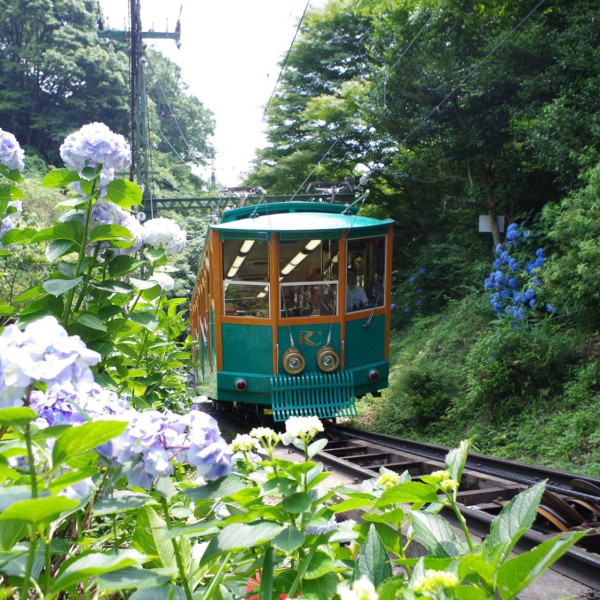 神戶一日遊自由行攻略 逾24大神戶景點/美食/酒店推介附交通攻略 