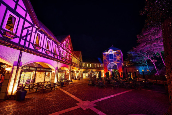 神戶一日遊自由行攻略 逾24大神戶景點/美食/酒店推介附交通攻略 