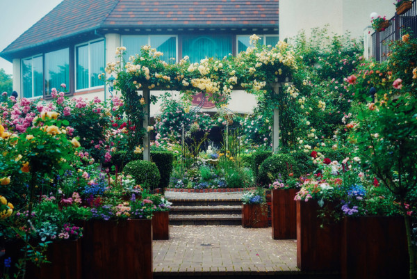 神戶一日遊自由行攻略 逾24大神戶景點/美食/酒店推介附交通攻略 